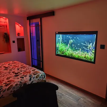 Apartament Nuit De La Sagesse 